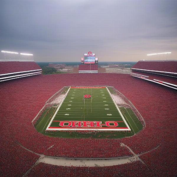 The Ohio State vs. Michigan football rivalry game
