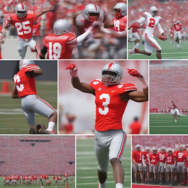 Highlights from Previous Ohio State Spring Games