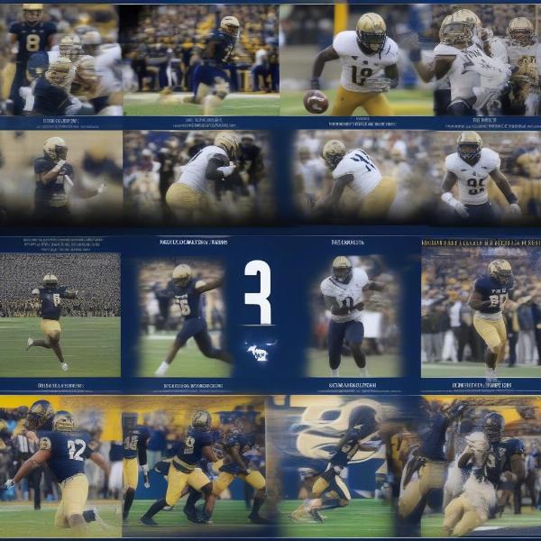 Pitt Football Season Highlights and Key Plays