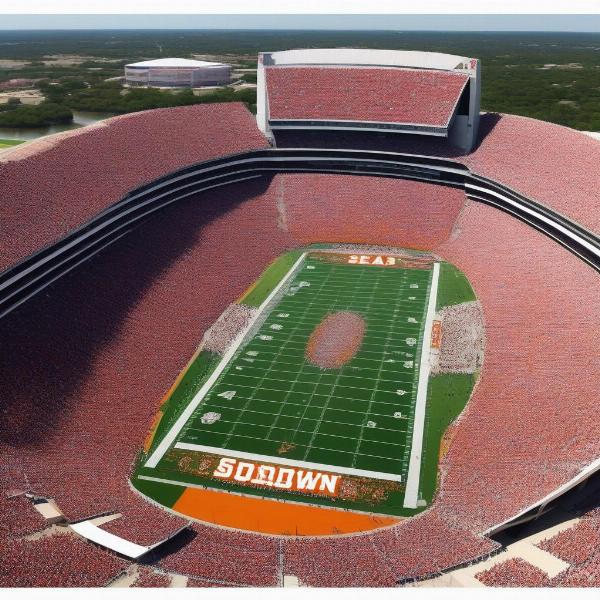 Red River Rivalry Fans in the Stadium
