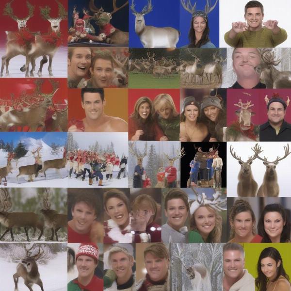 Evolution of Reindeer Games in Big Brother