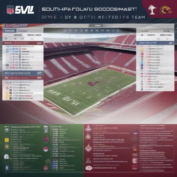 South Carolina Football Game Broadcast Schedule on TV and Online