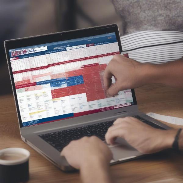 Viewing the South Carolina Game Schedule on a Laptop