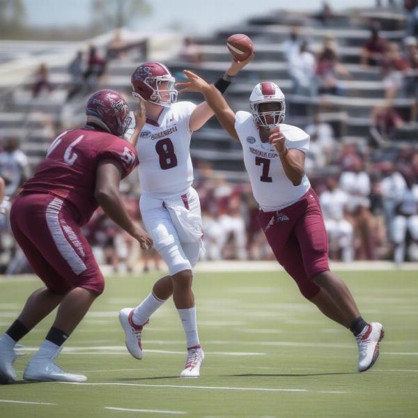 South Carolina Spring Game: Quarterbacks Compete for Starting Role