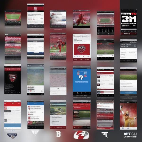 Staying Updated on Big Ten Championship Game Information