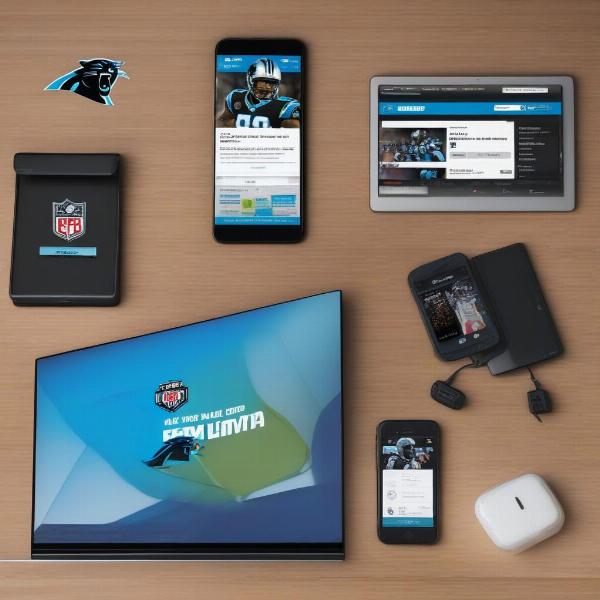 Staying Updated on Carolina Panthers Game Broadcasts