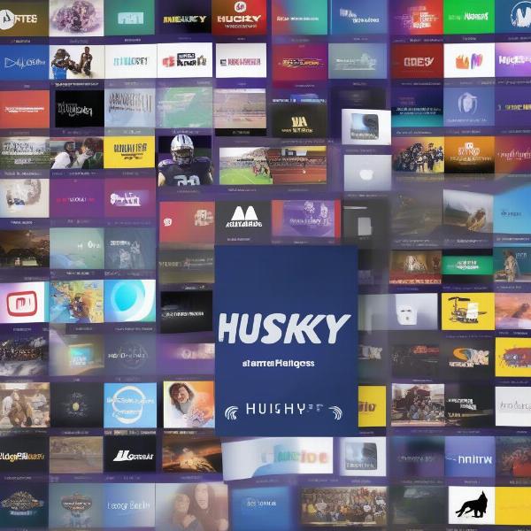 Streaming Options for Watching Husky Games