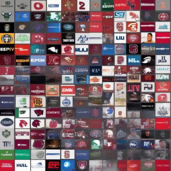 Streaming Options for Watching South Carolina Football Games