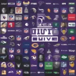 Streaming Platforms for Vikings Games