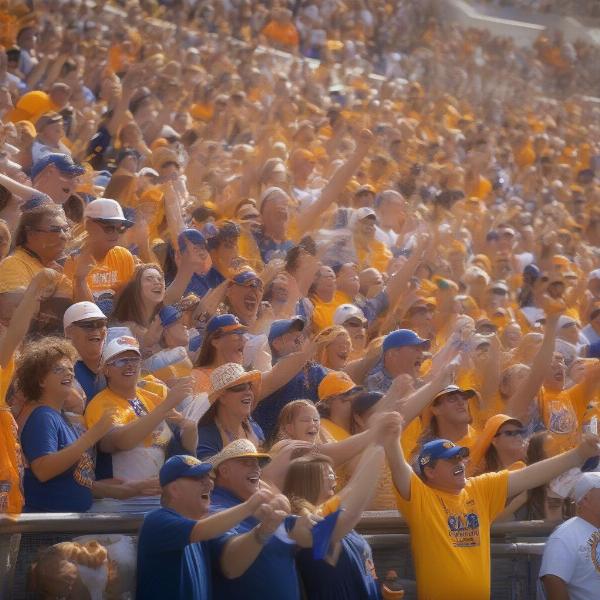 Sun Bowl Fans