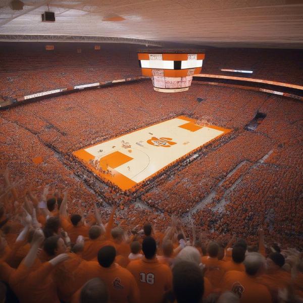 Syracuse Fans at the Carrier Dome