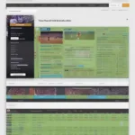 Checking the Texas Game TV Schedule on Official Website