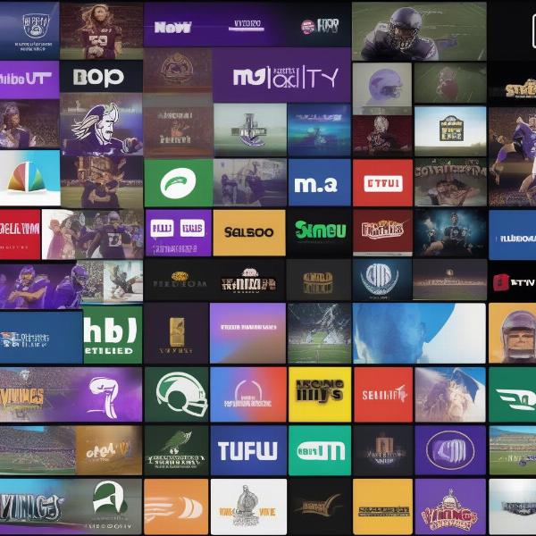 Third-Party Streaming Platforms for Vikings Games