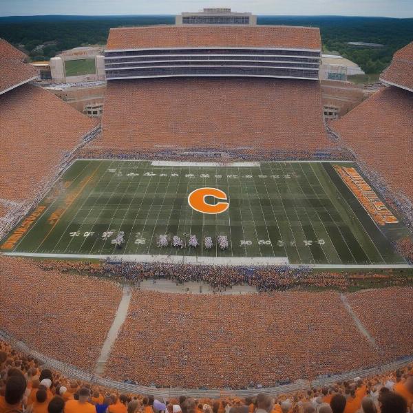 TN and KY Football in the SEC Context:  A Critical Matchup