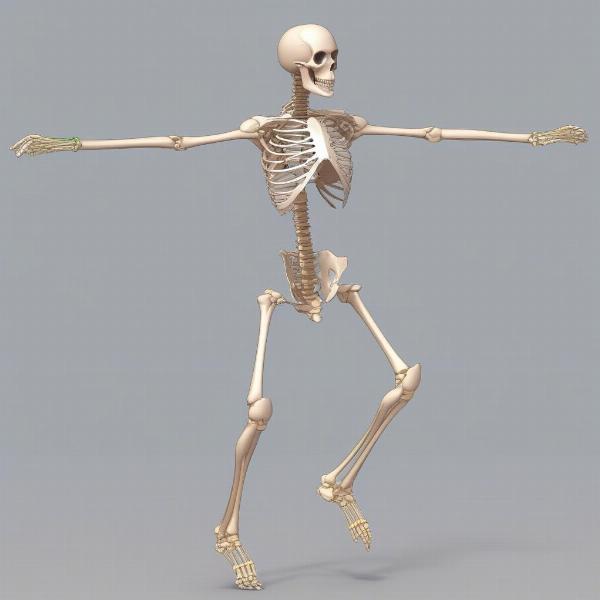 Rigging and Animation of a Video Game Character