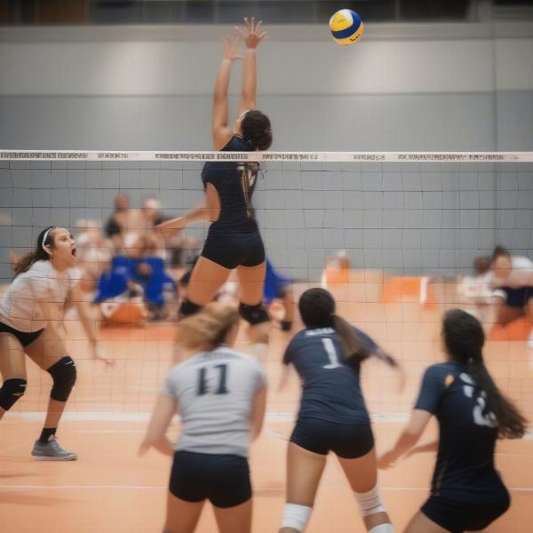 Volleyball Game Point Action