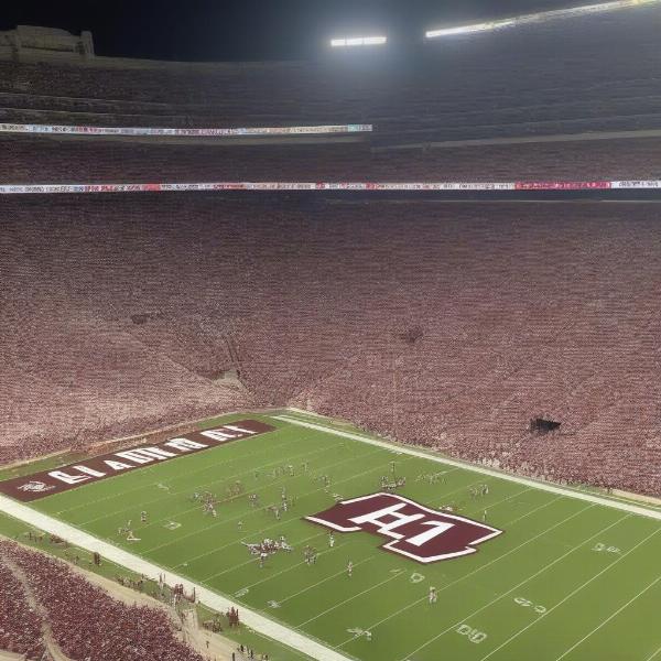 Fans Watching the Alabama vs. Texas A&M Game