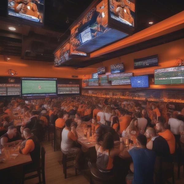 Watching Bengals Game at a Sports Bar