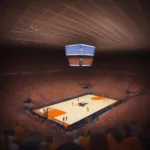 Watching Illini Game Live at State Farm Center