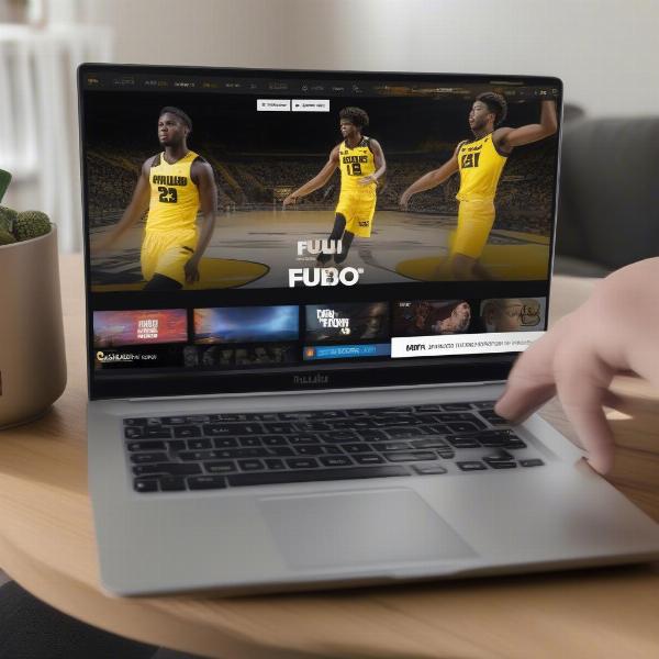 Streaming Options for Purdue Boilermakers Games