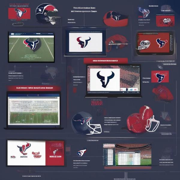 Watching the Texans Game on Various Devices