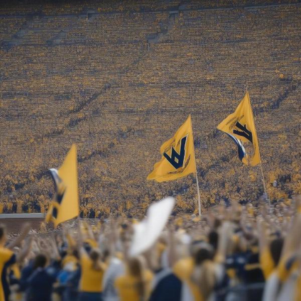 WVU Fans Cheering at the Stadium