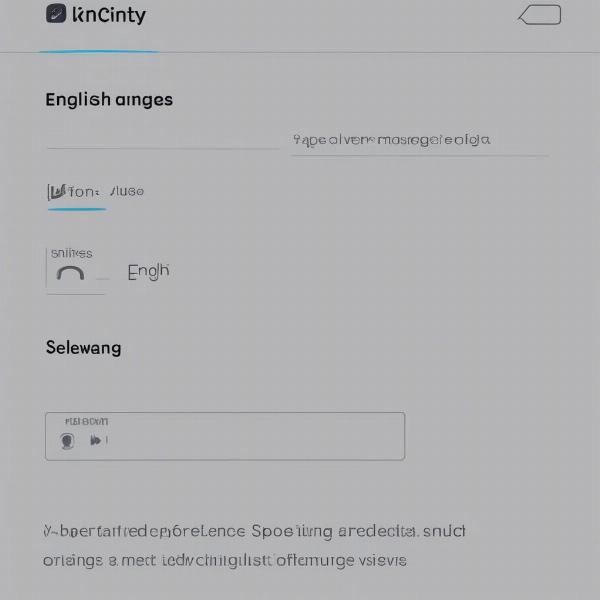 Xfinity settings menu showing audio language options