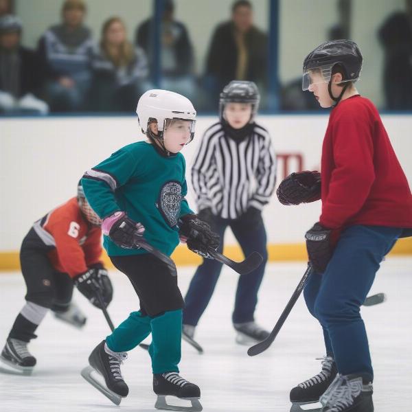 Youth Hockey Game Scene